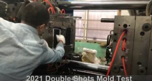 Test plesní 2021 Moldie Group Ltd