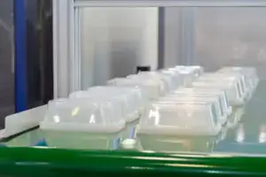 Clear thin-wall plastic food containers on a conveyor after injection molding