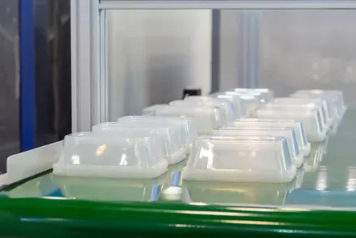 Clear thin-wall plastic food containers on a conveyor after injection molding