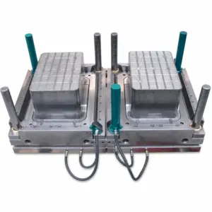 Twin-Core Two-Cavity Crate Mould