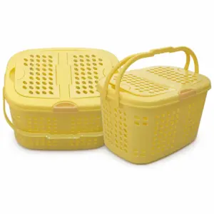 Twin-Lid Ventilated Picnic Basket Mould