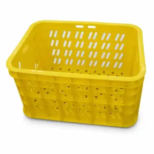 Ventilated Fruit Crate Mould