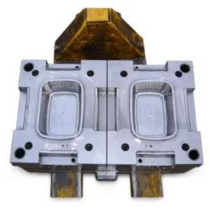 Two-Cavity Rectangular Basket Mould