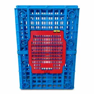 Blue plastic crate with a red divider insert, designed for storage and organization, featuring a grid pattern for ventilation and visibility.
